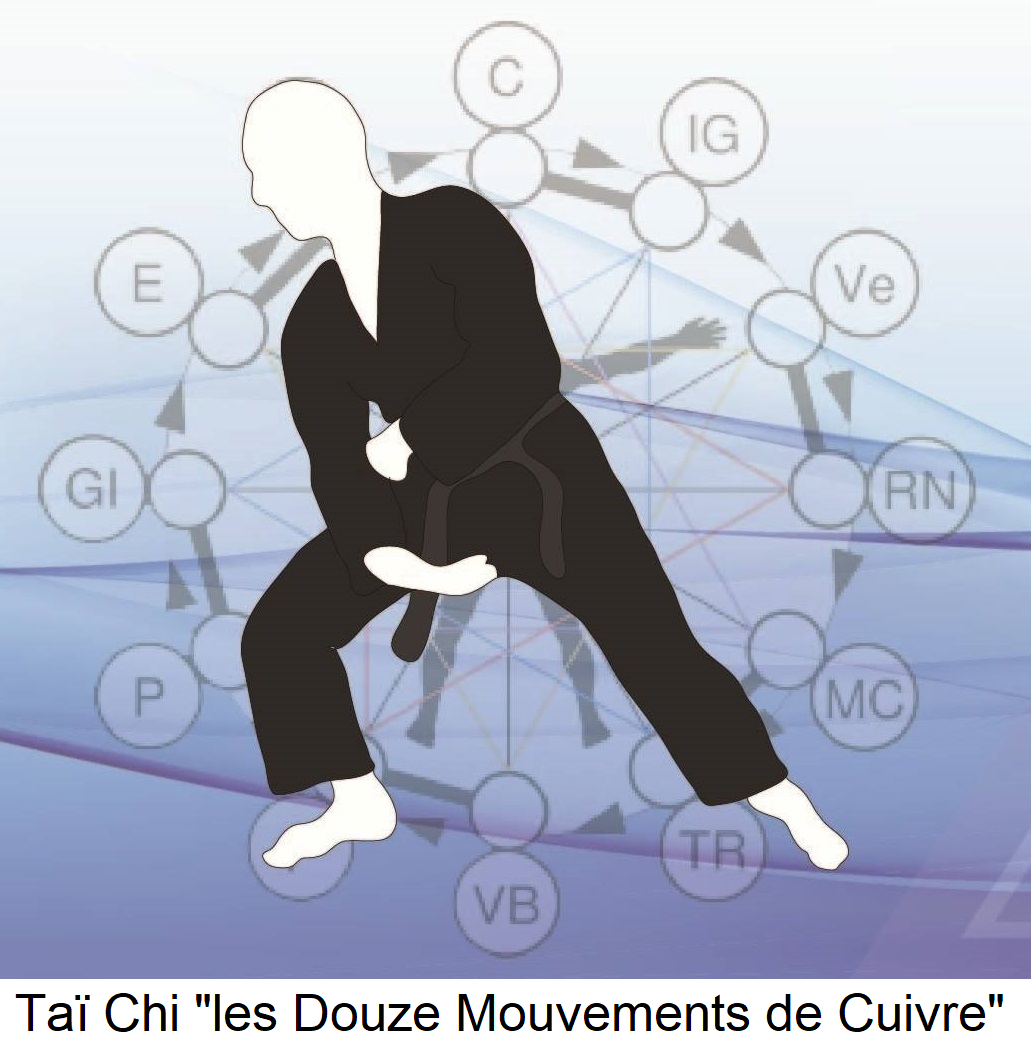 Lire la suite à propos de l’article Taï Chi – Les Douze Mouvements de Cuivre : gymnastique énergétique – Santé Holistique