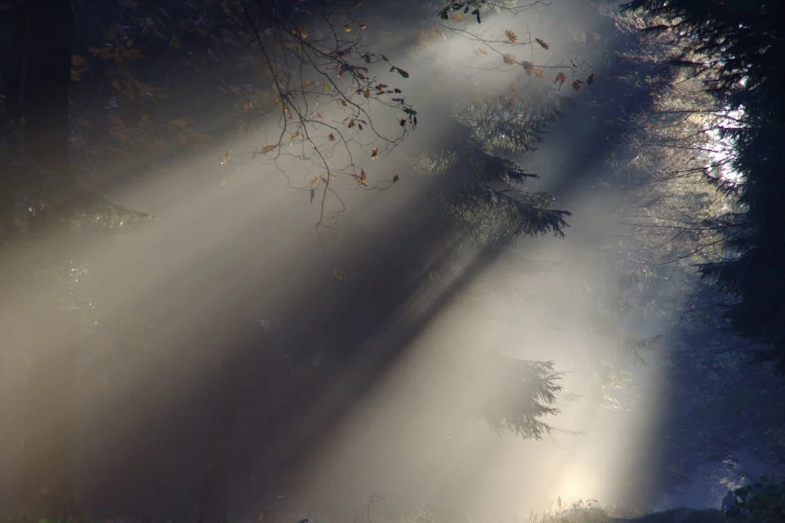 Lire la suite à propos de l’article Choisir de vivre dans la Lumière ou l’Ombre – Sagesse du Milieu & Santé Holistique