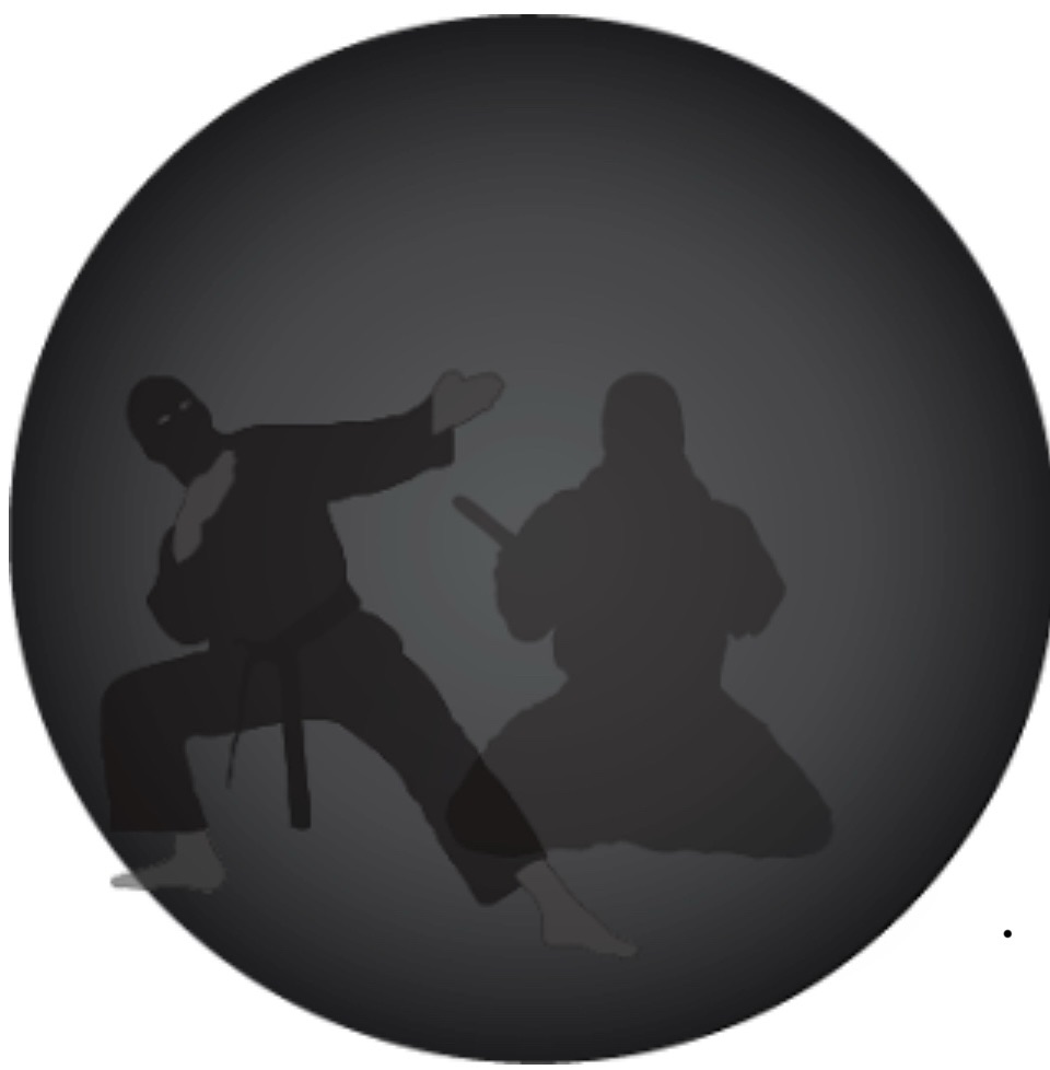 You are currently viewing École de Ninpo Nin-Jutsu : calendrier 2025-26 — cours, stages & semaines intensives (Posieux, Fribourg)